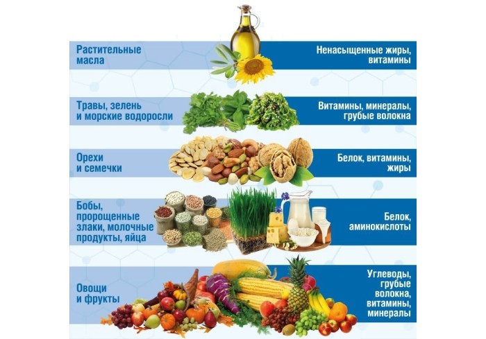 Продукты при сыроедении