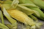 Кукурузные рыльца для похудения: как принимать продукт для снижения веса