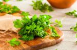 Отвар петрушки для похудения: рецепты настоя