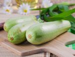 Кабачковая — низкокалорийная диета для похудения
