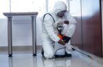 Дезинсекция без паники: как жить в доме без нежданных гостей