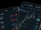 Gracex.tech отзывы — стоит ли доверять компании в 2025 году?